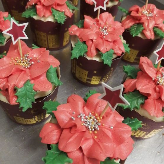 Vánoční hvězda co nepotřebuje zálivku