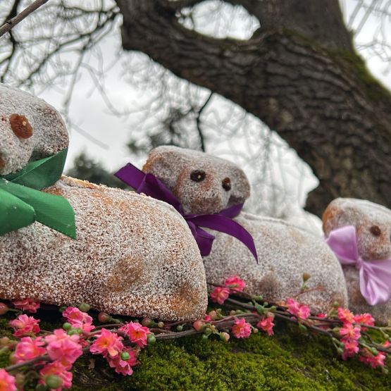 Příprava na Velikonoce v plném proudu